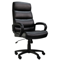 Chaise de bureau Activ s&eacute;rie A-601, Polyur&eacute;thane, Noir, Capacit&eacute; 275 lb SPOC Demo