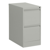 Classeur vertical, Acier, 2 tiroirs, 15-1/7" la x 25" p x 29" h, Gris SPOC Demo