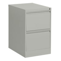 Classeur vertical, Acier, 2 tiroirs, 18-1/7" la x 25" p x 29" h, Gris SPOC Demo