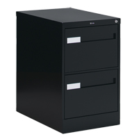 Vertical Filing Cabinet with Recessed Drawer Handles, 2 Drawers, 18.15" W x 26.56" D x 29" H, Black SPOC Demo