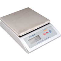 Platform Scale, 2000 g Capacity SPOC Demo