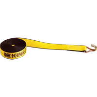 Winch Straps, Wire Hook, 2" W x 30' L, 1670 lbs. (751 kg) Working Load Limit SPOC Demo