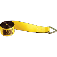 Winch Straps, Delta Ring, 4" W x 30' L, 5400 lbs. (2450 kg) Working Load Limit SPOC Demo