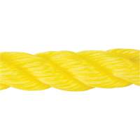 Corde jaune tress&eacute;e, Polypropyl&egrave;ne, 300' SPOC Demo