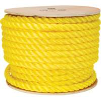 Corde jaune tress&eacute;e, Polypropyl&egrave;ne, 144' SPOC Demo