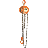 Chain Hoist, 10' Lift, 1000 lbs. (0.5 tons) Capacity, Steel Chain SPOC Demo