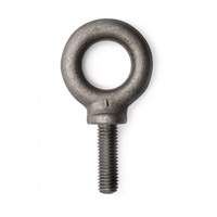 Eye Bolt, 5/8" Dia., 1-3/4" L, 4000 lbs. (2 tons) Capacity SPOC Demo