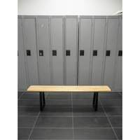 Locker Room Bench, Wood, 48" L x 9-1/2" W x 16-1/2" H SPOC Demo