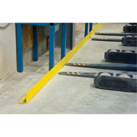 Floor Angle Guard Rails, Steel, 48" L x 5" H, Yellow SPOC Demo