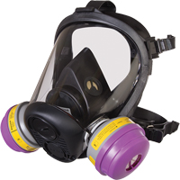 Respirateur &agrave; masque complet de s&eacute;rie RU6500 de North, Silicone, Petit SPOC Demo