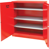 Armoire pour peintures et encres, 45 gal., 3 tablettes SPOC Demo