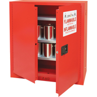 Armoire pour peintures et encres, 45 gal., 3 tablettes SPOC Demo
