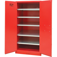 Armoire pour peintures et encres, 96 gal., 5 tablettes SPOC Demo