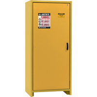 Armoire d'entreposage 30 minutes s&eacute;curitaire et conforme &agrave; la norme EN, 30 gal., 1 Porte(s), 34,02" La x 76,65" h x 24,21" p SPOC Demo