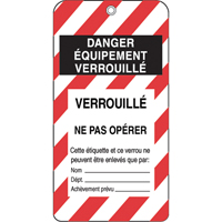 Lockout Tags, Plastic, 3" W x 5-3/4" H, French SPOC Demo