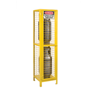 Gas Cylinder Cabinets, 2 Cylinder Capacity, 17" W x 17" D x 69" H, Yellow SPOC Demo