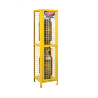 Gas Cylinder Cabinets, 2 Cylinder Capacity, 17" W x 17" D x 69" H, Yellow SPOC Demo