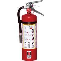 Extincteur d'incendie, ABC, Capacit&eacute; 5 lb SPOC Demo