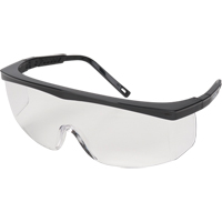 Z100 Series Safety Glasses, Clear Lens, Anti-Scratch, Meets/Exceeds CSA Z94.3 SPOC Demo