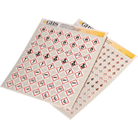 GHS Hazard Pictogram Label Variety Packs, Vinyl, Sheet, 1" L x 1" W SPOC Demo