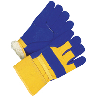 Ladies Fitter Gloves, Ladies, Grain Cowhide Palm, Cotton Inner Lining SPOC Demo