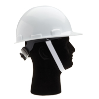 North&reg; 2 Point Hardhat Chinstrap SPOC Demo