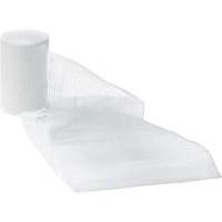 Dynamic Gauze Bandages, Roll, 15' L x 1" W, Sterile, Medical Device Class 1 SPOC Demo