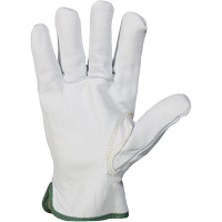 Endura&reg; Cut-Resistant Arc Flash Gloves, X-Small, 10" L, 36 cal/cm², Level 3, NFPA 70E SPOC Demo
