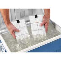Sachets pour veste de refroidissement &agrave; changement de phase 6260 Chill-Its SPOC Demo