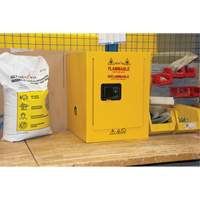 Flammable Storage Cabinet, 4 gal., 1 Door, 17" W x 22" H x 18" D SPOC Demo