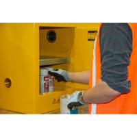 Flammable Storage Cabinet, 4 gal., 1 Door, 17" W x 22" H x 18" D SPOC Demo