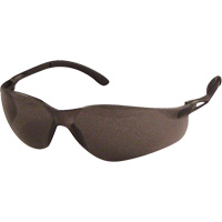 SenTec Safety Glasses, Grey Lens, Anti-Scratch, Meets/Exceeds CSA Z94.3 SPOC Demo