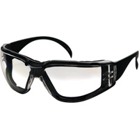 CeeTec DX Safety Glasses, Clear Lens, Anti-Fog/Anti-Scratch, Meets/Exceeds CSA Z94.3 SPOC Demo