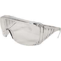 Eccospec Safety Glasses, Clear Lens, Meets/Exceeds CSA Z94.3 SPOC Demo