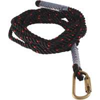Dynamic Vertical Rope Lifeline with Carabiner SPOC Demo