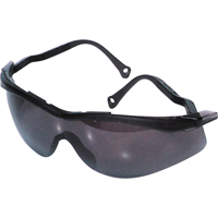 Lunettes de s&eacute;curit&eacute; North The Edge, Lentille Fum&eacute;e, Antibu&eacute;e/Anti-&eacute;gratignures, R&eacute;pond ou surpasse la norme CSA Z94.3 SPOC Demo