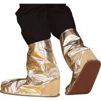 300 Series Approach Boots SPOC Demo