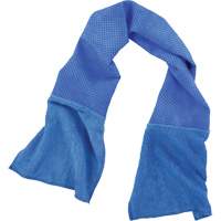 Chill-Its 6604 Multi-Purpose Cleaning and Cooling Towel, Blue SPOC Demo