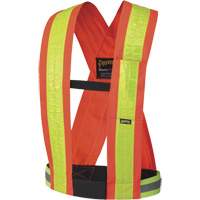 High-Visibility Traffic Harness