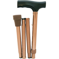Folding Cane SPOC Demo