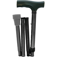 Folding Cane SPOC Demo