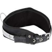 WB-6010-S Dispositif de retenue de s&eacute;curit&eacute; avec ceinture &agrave; un anneau en D et support lombaire rembourr&eacute; - Petit SPOC Demo