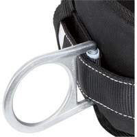WB-6020-S Dispositif de retenue de s&eacute;curit&eacute; avec ceinture &agrave; deux anneaux en D et support lombaire rembourr&eacute; - Petit SPOC Demo