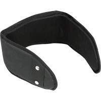 WB-6006 Support lombaire rembourr&eacute; pour ceinture - Universel SPOC Demo