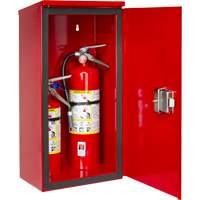 Armoires ext&eacute;rieures robustes pour extincteurs, 14" la x 28" h x 10" p SPOC Demo
