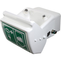 Eye/Face Wash, Wall-Mount Installation, Plastic Bowl SPOC Demo