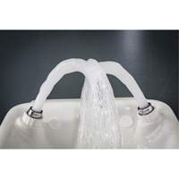 Eye/Face Wash, Wall-Mount Installation, Plastic Bowl SPOC Demo