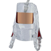 Heat Reflective Hood with Clear Gold Window SPOC Demo