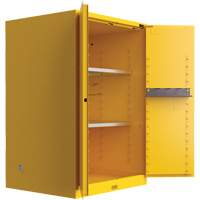 Utili-Guard+ Flammable Safety Cabinet, 45 gal., 2 Door, 43" W x 65" H x 22" D SPOC Demo