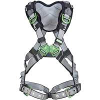 Harnais de s&eacute;curit&eacute; complet V-Fit, Certifi&eacute;e CSA, Classe AEP, Standard, Cap. 400 lb SPOC Demo